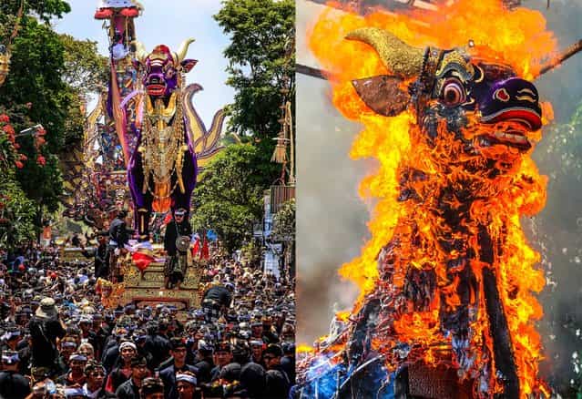 Men carry a giant sarcophagus in the form of a bull which contains the body of Tjokorda Istri Sri Tjandrawati and then is set ablze during a cremation ceremony of a descendant of the Ubud Royal family in Bali, Indonesia, on November 1, 2013. (Photo by Firdia Lisnawati/Associated Press)