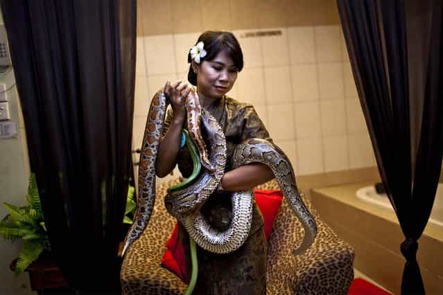 A member of the staff holds pythons used in massage treatments at the Bali Heritage Reflexology and Spa in Jakarta, Indonesia, on Oktober 27, 2013. The snake spa offers a unique massage treatment which involves having several pythons placed on the customer's body. The movement of the snakes and the adrenaline triggered by fear is said to have a positive impact on the customers metabolism. (Photo by Ulet Ifansasti/Getty Images)