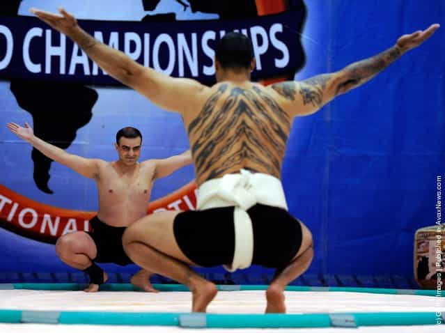 US National Sumo Championships