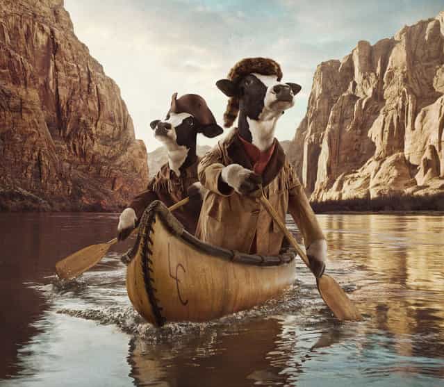 Smalldog Imageworks Creative Retouching for Chick-fil-A Cows Calendar «Trail Grazers» by photographer Andy Mahr