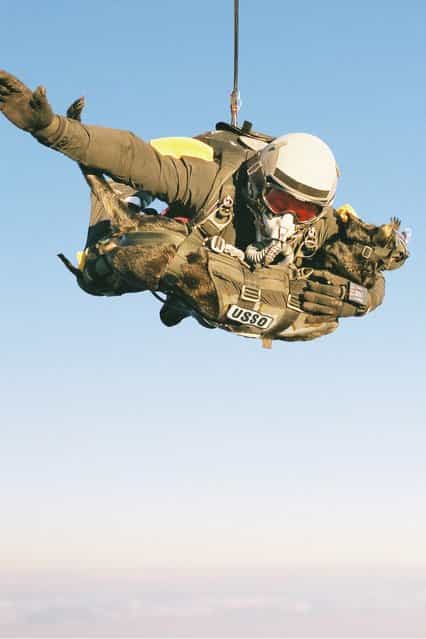 A U.S. Navy SEAL, Mike Forsythe, and his dog, Cara recently broke the world record for [highest man/dog parachute deployment] by jumping from 30,100 feet. (Photo by Courtesy K9 Storm Inc.)