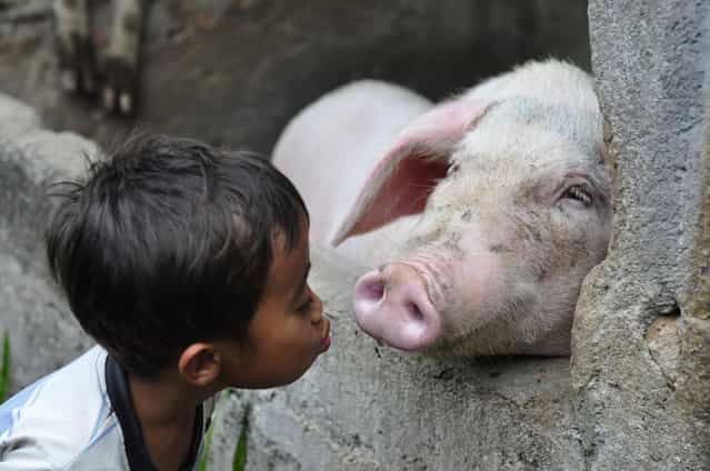 [Ubud, Bali – Adit with his pet pig]. (Photo by Mio Cade)