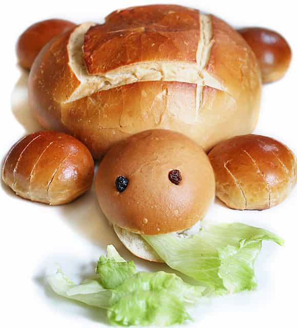 [Turtle Bread. An endangered species during breakfask, lunch and dinner!]. (Photo by Vanessa Dualib)