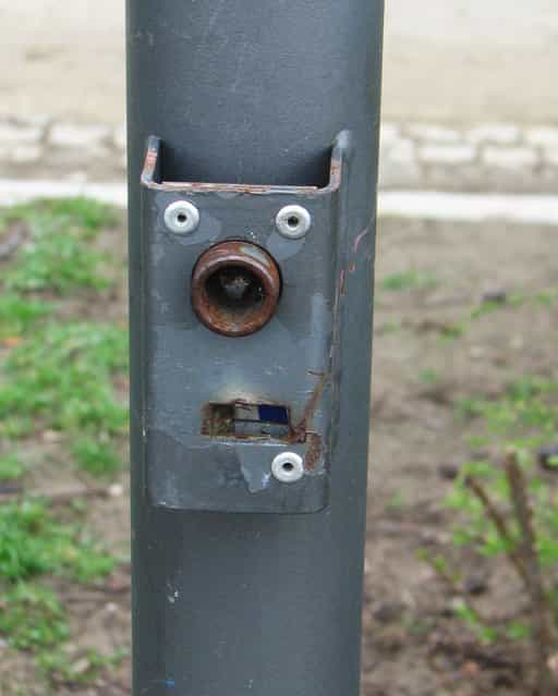 Pole face. (Photo by Lauren Manning)