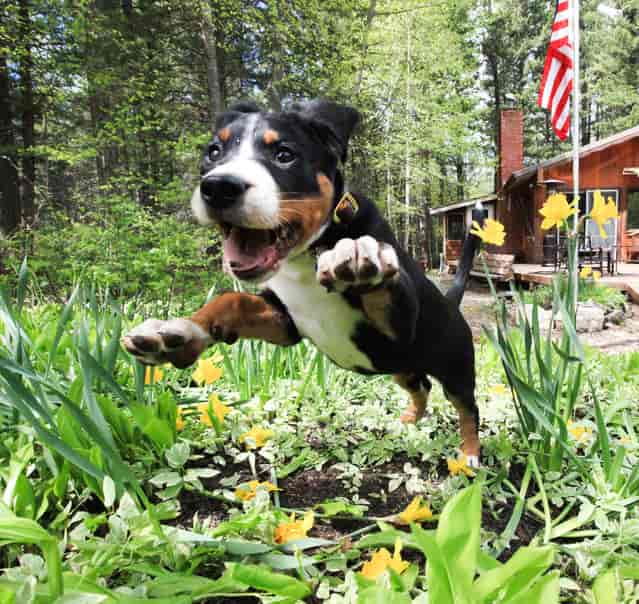 [Excited for Spring]! (Photo by Aaron A.)