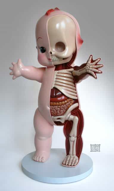 Anatomical Toys By Jason Freeny