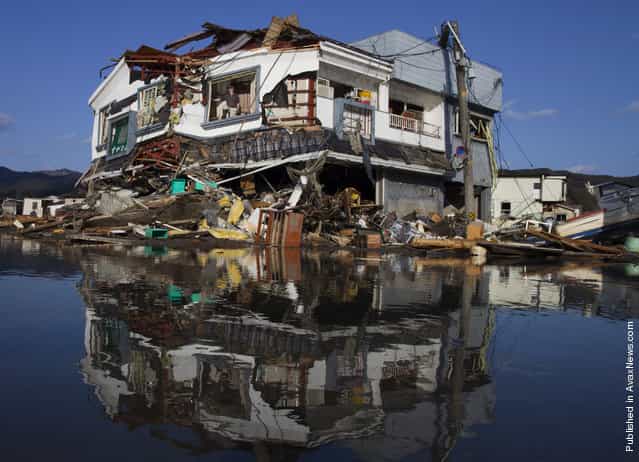 Japan Crisis Begins To Stabilise After Quake Disaster