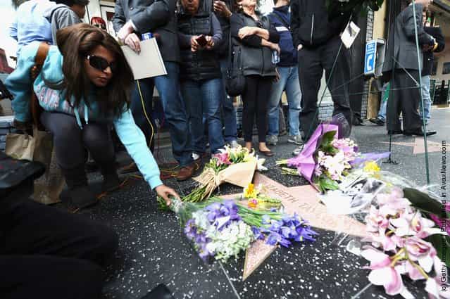 Flowers Placed On The Hollywood Walk Of Fame Star Of Elizabeth Taylor