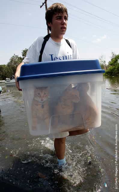 Alex Perez carries his cats to dry land after being rescued by boat from his house near Lake Pontchatrain flooded by Hurricane Katrina August 30, 2005 in New Orleans, Louisiana