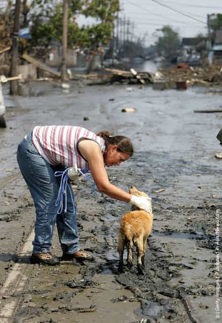 Judy Sluigen pets a dog that she found wandering the streets September 10, 2005 in New Orleans, Louisiana