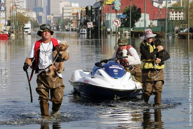 Civilian rescuers (L-R) David Coupe, Pat Alladio and Shawn Alladio carry dogs to safety on a flooded street September 11, 2005 in New Orleans, Louisiana