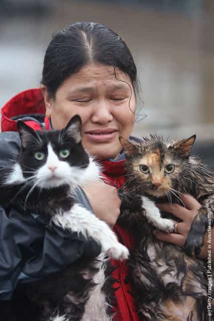 Maria Steele fights back tears after she and her cats Ching (L) and Sushi (R) were rescued from their flooded home June 12, 2008 in Cedar Rapids, Iowa