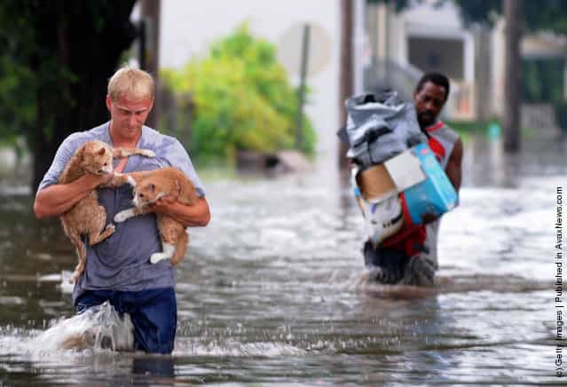 Man rescues cats during a flood