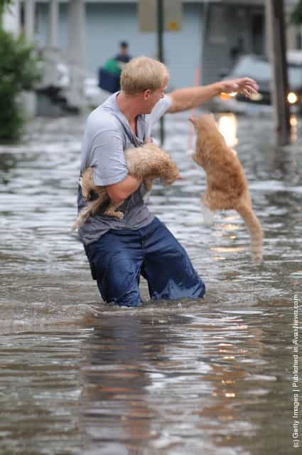 Man rescues cats during a flood
