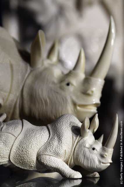 Rhinos carved from illegal Ivory