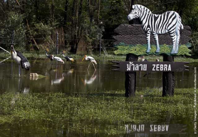 Flooded Safari Park located at Safari World in Bangkok, Thailand
