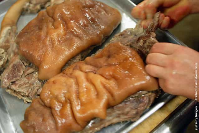 A chef cooks raw dog meat at a restaurant in Gwacheon, South Korea