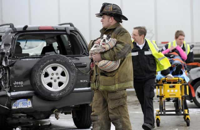 A firefigher holds a dog as emergency personnel responds to a multi-vehicle accident on Interstate 75 in Detroit, Thursday, January 31, 2013. Snow squalls and slippery roads led to a series of accidents that left at least three people dead and 20 injured on a mile-long stretch of southbound I-75. More than two dozen vehicles, including tractor-trailers, were involved in the pileups. (Photo by David Coates/The Detroit News/AP Photo)