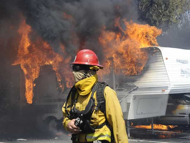 A firefighter works as a raging wildfire pushing towards the coast destroys trailers and motorhomes (background) in Camarillo May 2, 2013. The wind-driven brush fire raging along the California coast north of Los Angeles prompted the evacuation of hundreds of homes and a university campus on Thursday as flames engulfed several farm buildings and recreational vehicles near threatened neighborhoods. (Photo by Gene Blevins/Reuters)