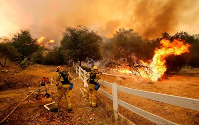 Ffirefighters from Stockton put out flames in Hidden Valley. A huge Southern California wildfire burned through coastal wilderness to the beach on Friday then stormed back through canyons toward inland neighborhoods when winds reversed direction. (Photo by Mel Melcon/Los Angeles Times)