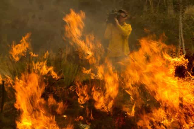 A cameraman records the wildfire burning along the Pacific Coast Highway near Ventura. (Photo by Ringo H.W. Chiu/Associated Press)