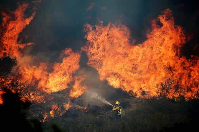 A US Forestry fire fighter confronts an out of control wildfire in Camarillo on Thursday. (Photo by Kevork Djansezian/Getty Images)