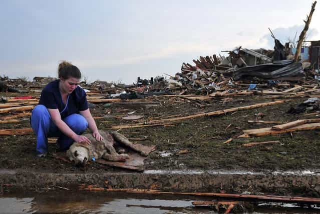 Tiffany Bauman comforts a dying dog injured by Monday's tornado in the neighborhood of Westmoor, near Moore. (Photo by Nick Oxford/The New York Times)