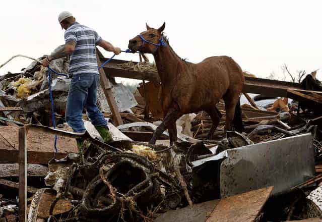 Rescuers recover a horse from the remains of a day care center and destroyed barns in Moore. (Photo by Steve Sisney/The Oklahoman)