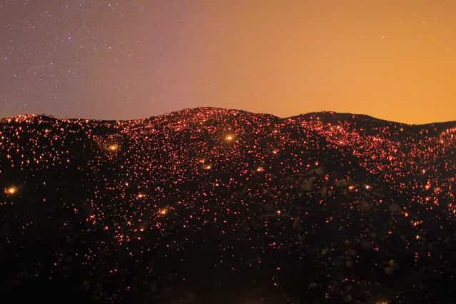 Embers from the Silver Fire glow in the night sky near Banning, California, on August 7, 2013. More than 5,000 acres were scorched. (Photo by David McNew/Reuters)