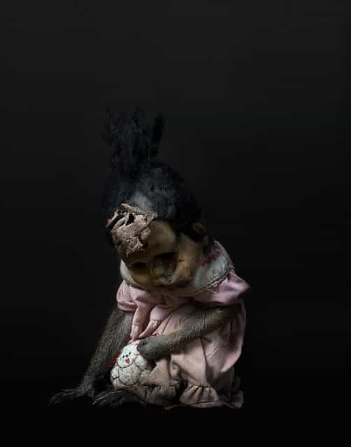 The Monkey and the Mask: Terrifying Portraits of Indonesia’s Street-Performing Macaques. (Photo by Perttu Saksa)
