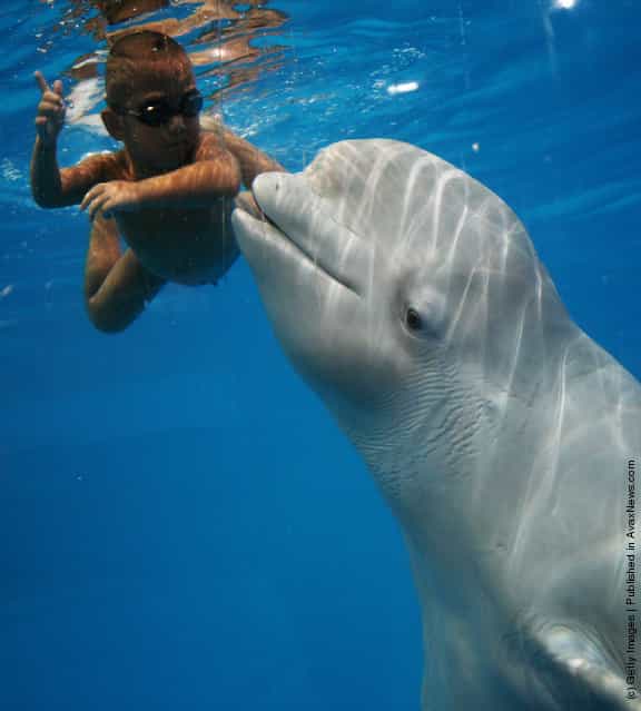 Four-year-old Chinese Boy Swims With Beluga Whale