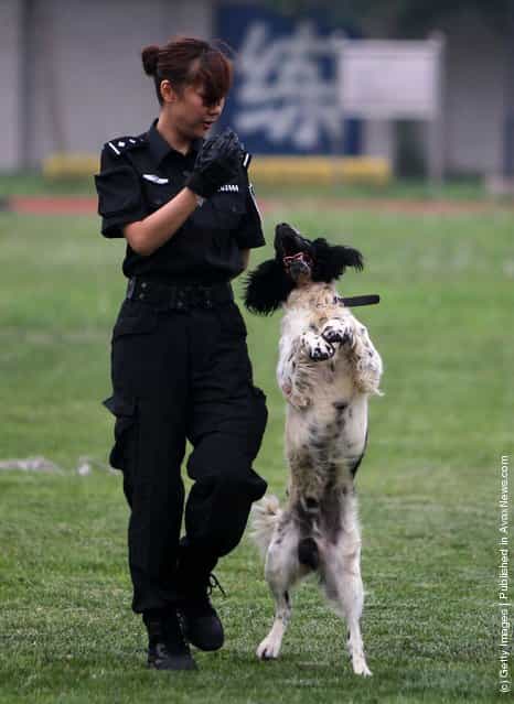 Police Dog Training Base In Beijing