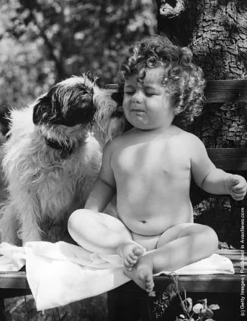 Frances Huggins gets a kiss from her pet dog for coming first in a Victory Effort Week baby show, 1941