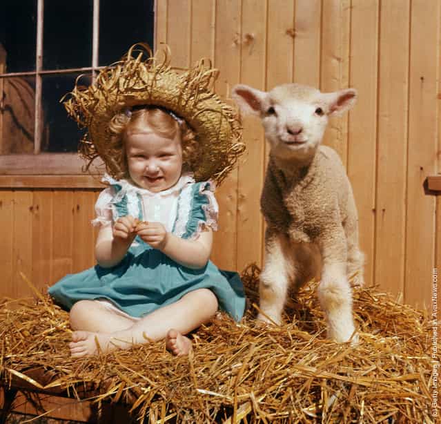 A young girl in a blue dress and straw hat sits next to a lamb on a stack of hay, 1940s