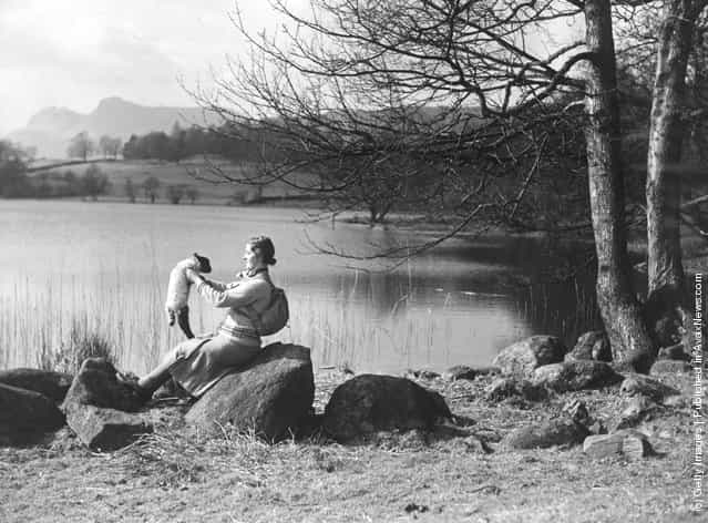 A hiker enjoying the spring sunshine with a young lamb by Loughrigg Tarn in the Lake District