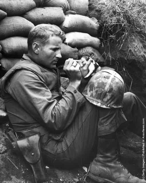 A US Marine feeds an orphan kitten found after a heavy mortar barrage near Bunker Hill during the Korean War