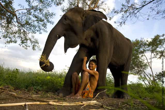 Sangworn, a mahout (elephant driver), sits with his elephant, Bussaba, 13 years old, at his temporary camp in Bangkok, Thailand