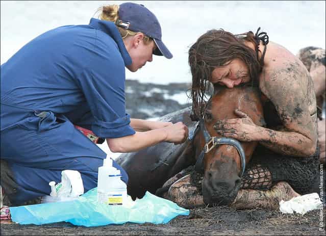Owner Nicole Graham works with volunteers from CFA and SES tries to dig out her horse Astro who became stuck up to his neck in mud at Avalon Beach