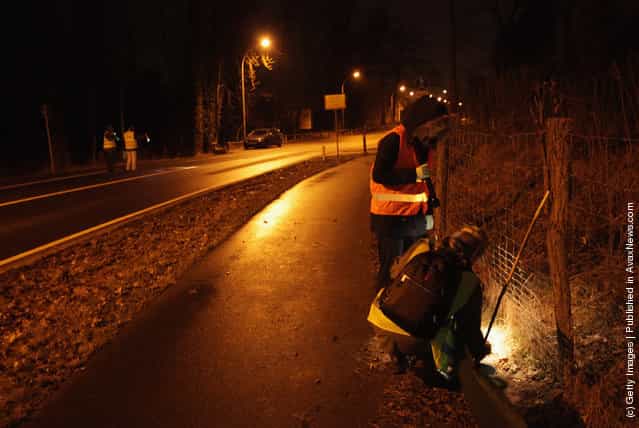 Volunteers collect toads along an amphibian fence next to a road near Berlin