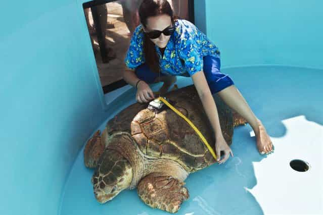 Rehabilitation Tech Victoria Ternullo measures Kahunas shell