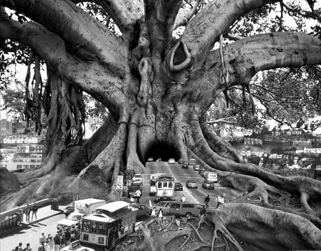 Surreal Art By Thomas Barbey