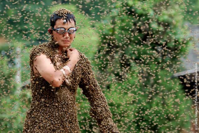 [Bee Bearding] Contest In Hunan