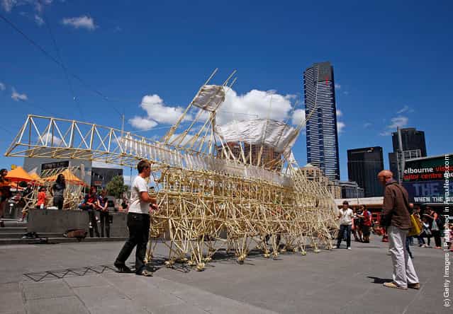 The [Strandbeest] sculpture created by Dutch artist Theo Jansen [walks] at Federation Square