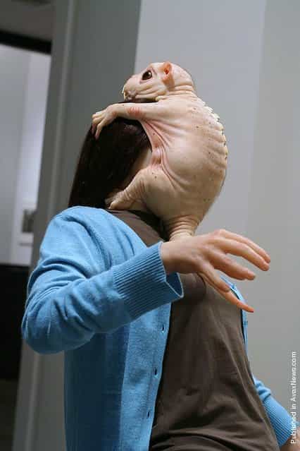 The Embrace by Patricia Piccinini