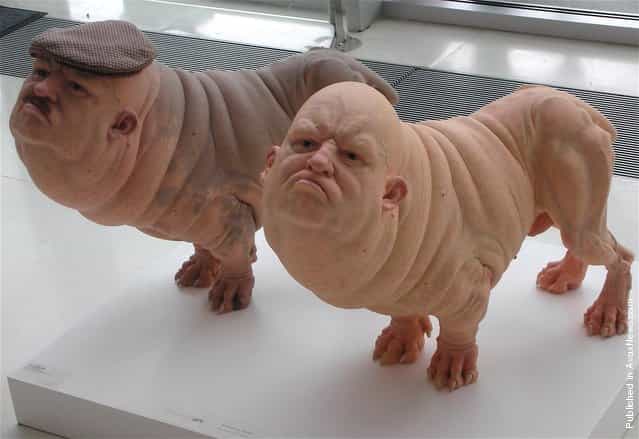 Sculptures By Patricia Piccinini