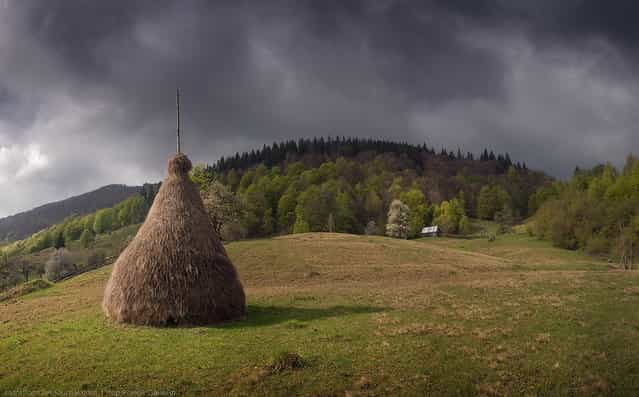 Carpathian Beauty by Daniel Korjonov