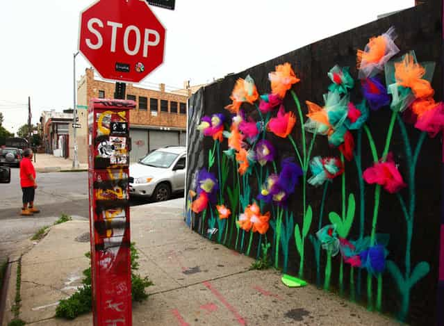 What’s New in Bushwick: A Quick Street Art Survey