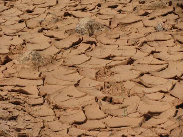 dried riverbed