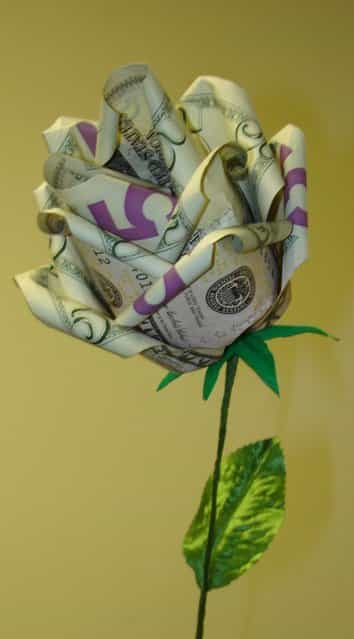 Origami With Money