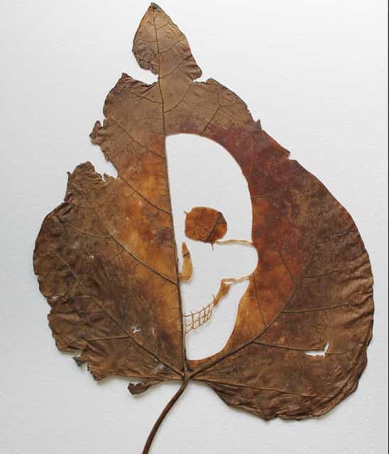 Leaf Art by Lorenzo Duran